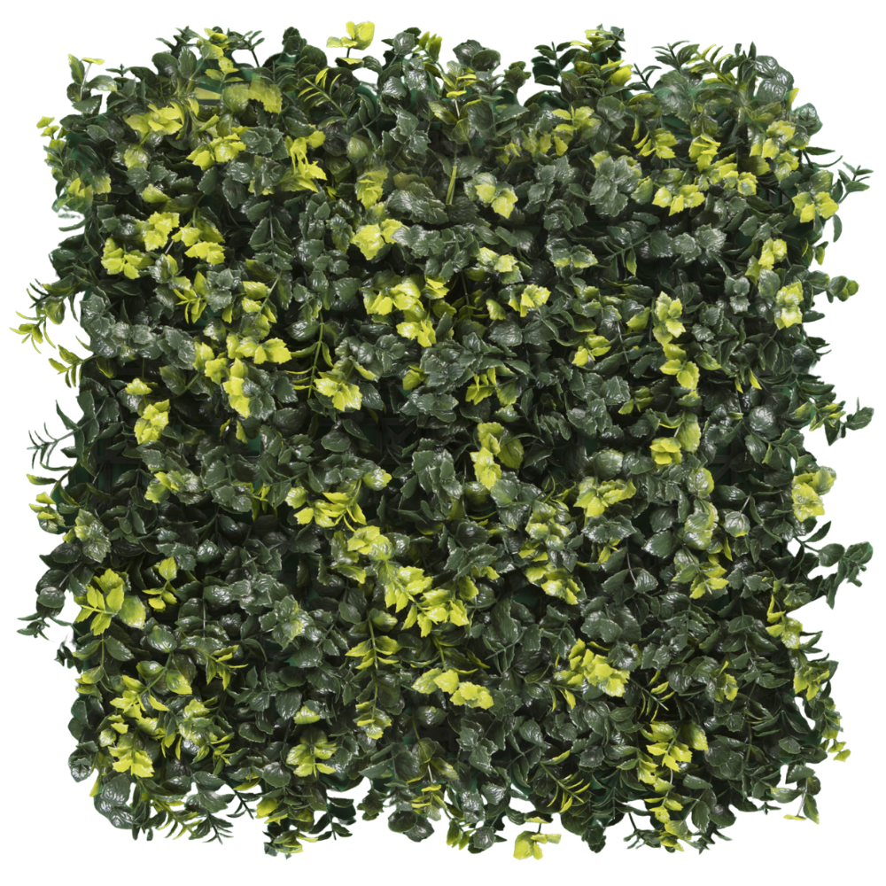 MENTA