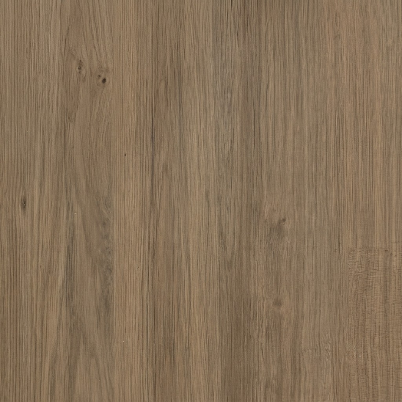 COCOA ASH